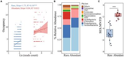 Stronger linkage of diversity-carbon decomposition for rare rather than abundant bacteria in woodland soils